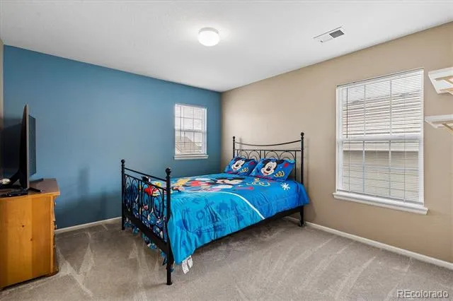 2810 Shadow Dance Drive Castle Rock, CO 80109