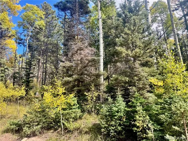 Lot 2843 Wendt Lane Fort Garland, CO 81133