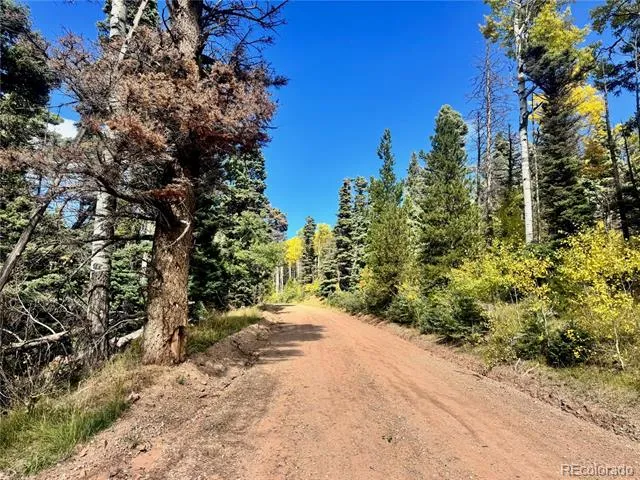 Lot 2843 Wendt Lane Fort Garland, CO 81133