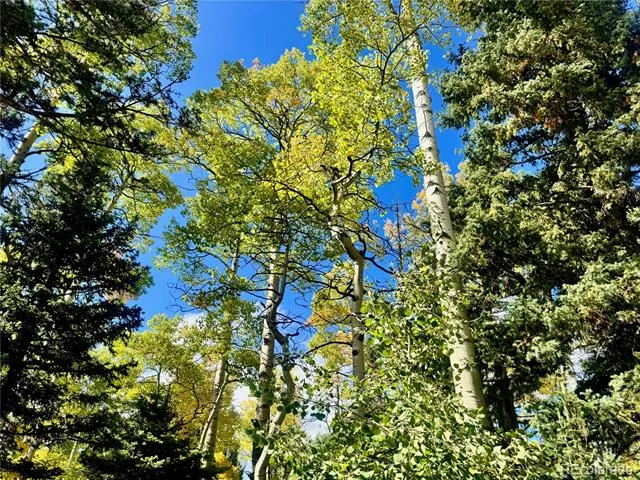 Lot 2843 Wendt Lane Fort Garland, CO 81133