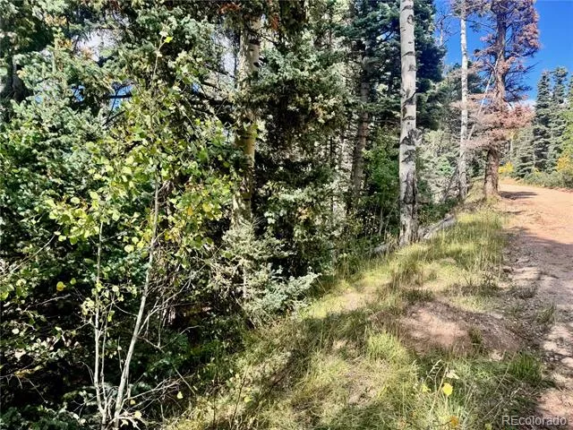 Lot 2843 Wendt Lane Fort Garland, CO 81133