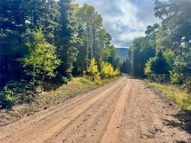 Lot 2843 Wendt Lane Fort Garland, CO 81133