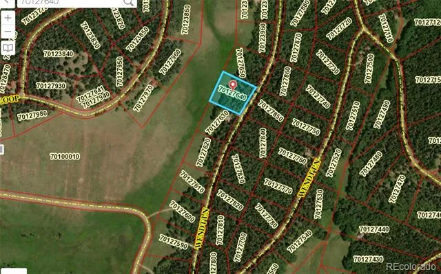 Lot 2843 Wendt Lane Fort Garland, CO 81133