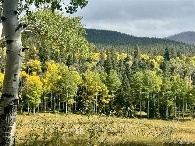 Lot 2843 Wendt Lane Fort Garland, CO 81133