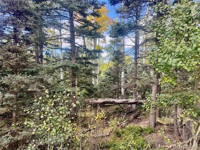 Lot 2843 Wendt Lane Fort Garland, CO 81133