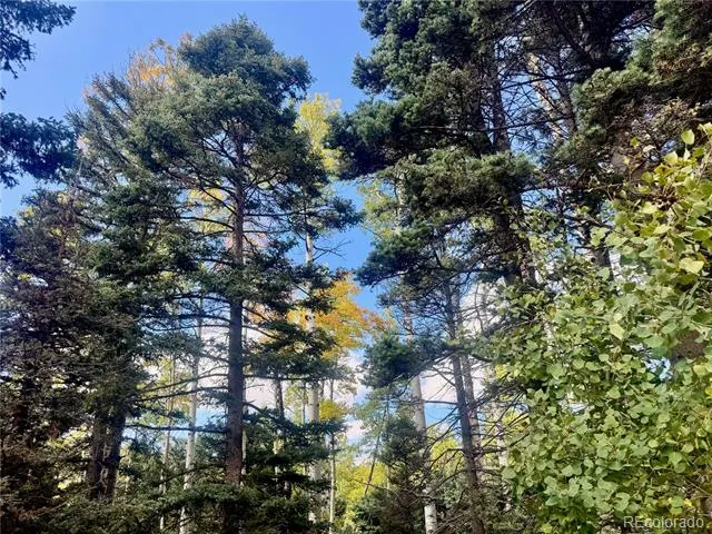 Lot 2843 Wendt Lane Fort Garland, CO 81133
