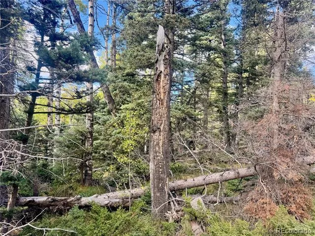 Lot 2843 Wendt Lane Fort Garland, CO 81133