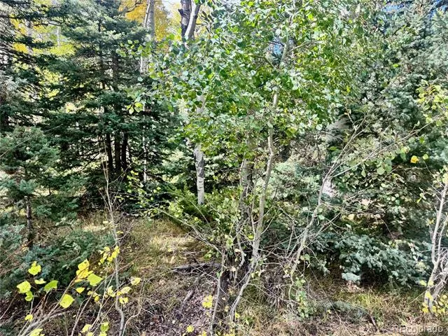 Lot 2843 Wendt Lane Fort Garland, CO 81133