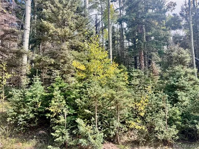 Lot 2843 Wendt Lane Fort Garland, CO 81133