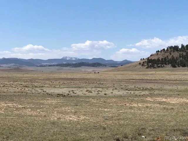 UNK Sulphur Mountain Road Hartsel, CO 80449