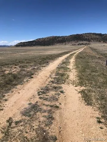 UNK Sulphur Mountain Road Hartsel, CO 80449