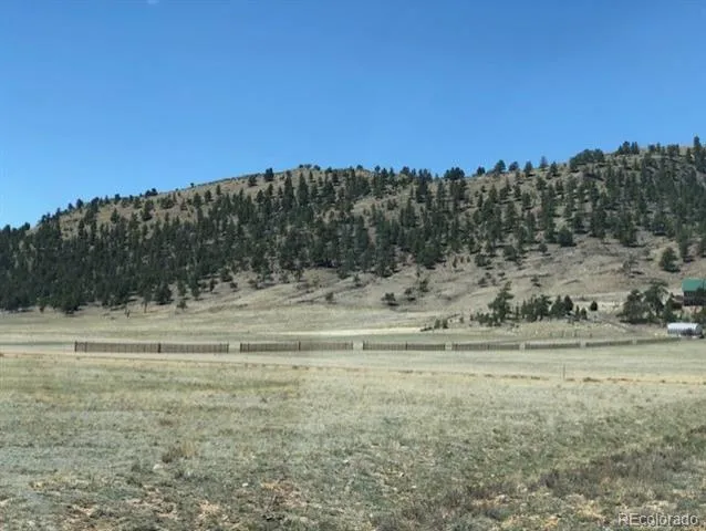 UNK Sulphur Mountain Road Hartsel, CO 80449