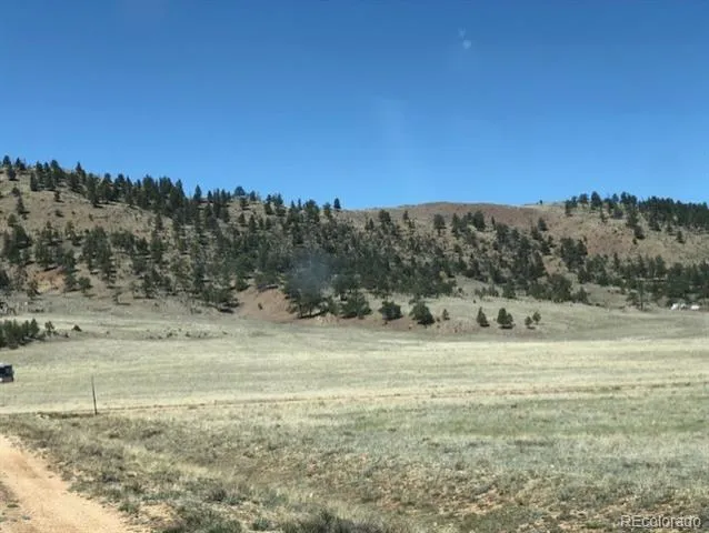 UNK Sulphur Mountain Road Hartsel, CO 80449