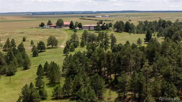 11503 E Smith Road Elbert, CO 80106