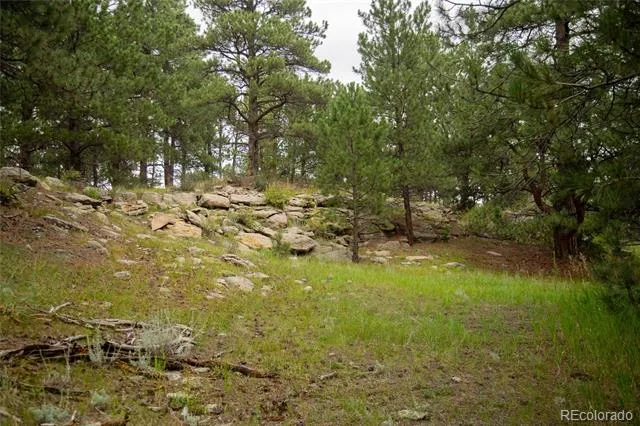 11503 E Smith Road Elbert, CO 80106