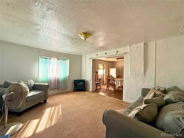 709 Beaubien Avenue Fort Garland, CO 81133