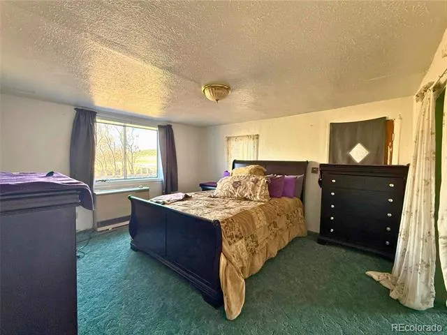 709 Beaubien Avenue Fort Garland, CO 81133