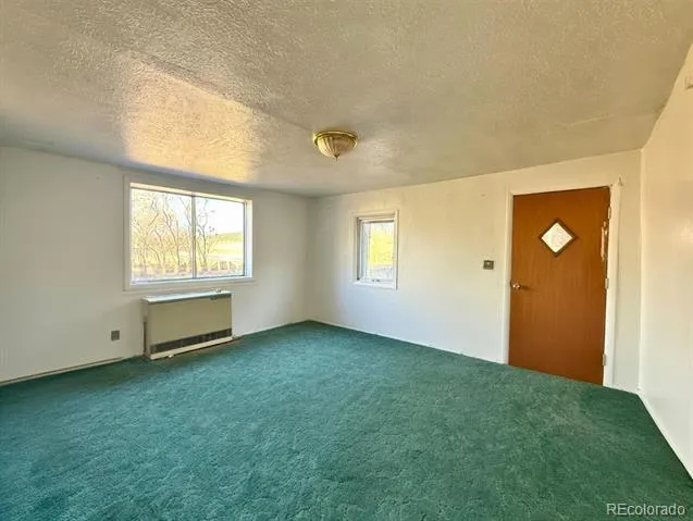 709 Beaubien Avenue Fort Garland, CO 81133
