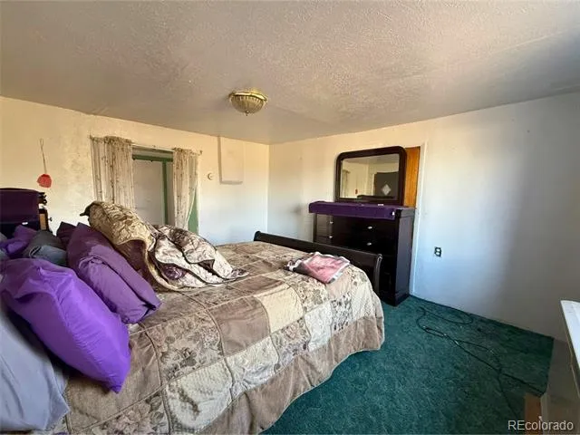 709 Beaubien Avenue Fort Garland, CO 81133