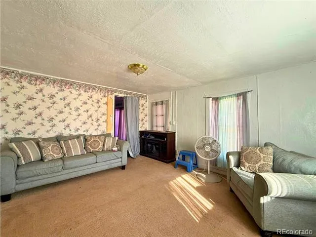 709 Beaubien Avenue Fort Garland, CO 81133