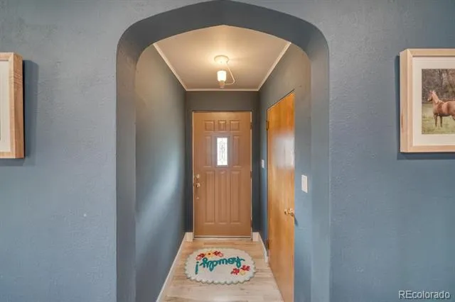219 S Colorado Avenue Buena Vista, CO 81211