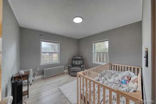 219 S Colorado Avenue Buena Vista, CO 81211