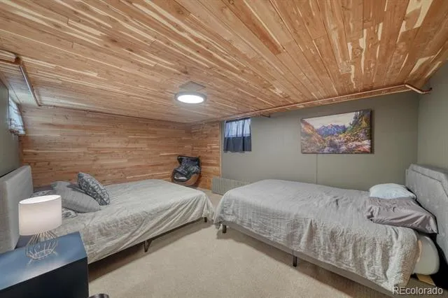 219 S Colorado Avenue Buena Vista, CO 81211