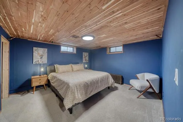 219 S Colorado Avenue Buena Vista, CO 81211