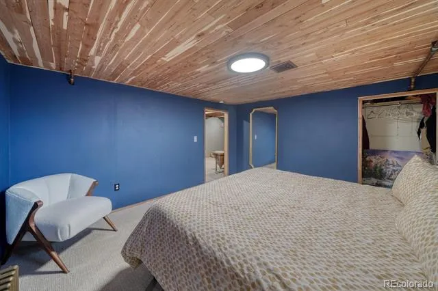 219 S Colorado Avenue Buena Vista, CO 81211