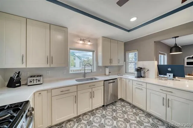 219 S Colorado Avenue Buena Vista, CO 81211