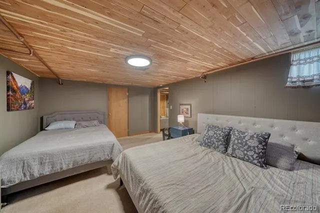 219 S Colorado Avenue Buena Vista, CO 81211