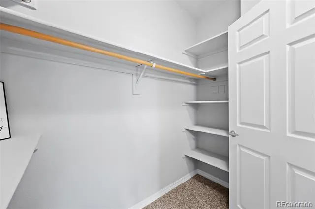 1530 Little Bear Creek Point #301 Colorado Springs, CO 80904