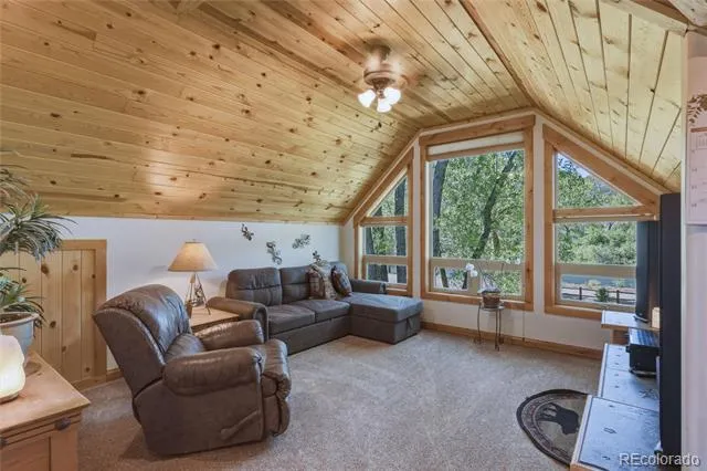 237 Rio Grande Drive South Fork, CO 81154