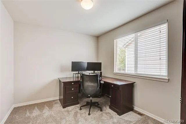 226 Chelsea Street Castle Rock, CO 80104