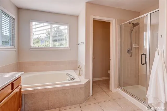 226 Chelsea Street Castle Rock, CO 80104