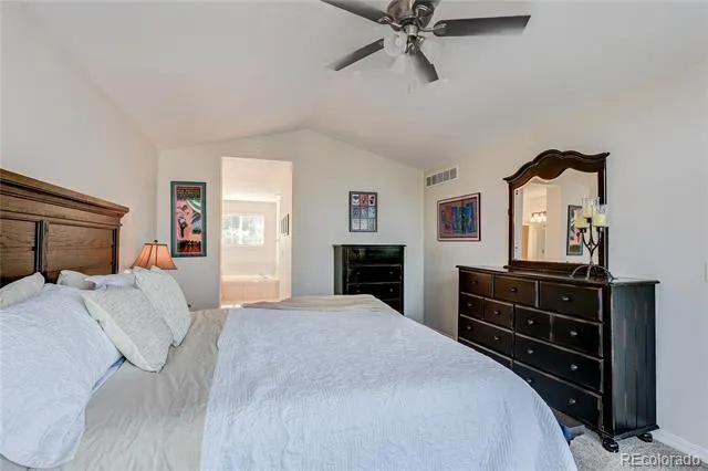 226 Chelsea Street Castle Rock, CO 80104