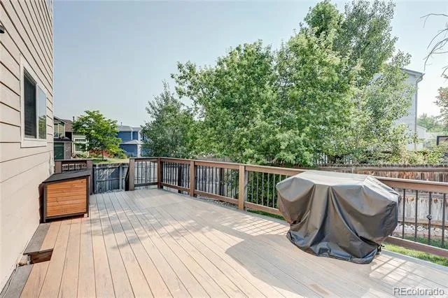 226 Chelsea Street Castle Rock, CO 80104