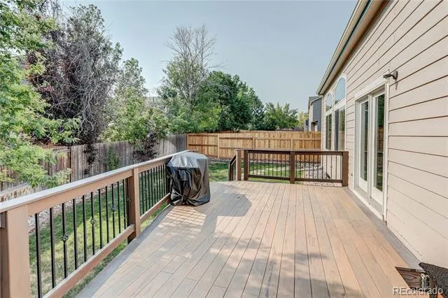 226 Chelsea Street Castle Rock, CO 80104