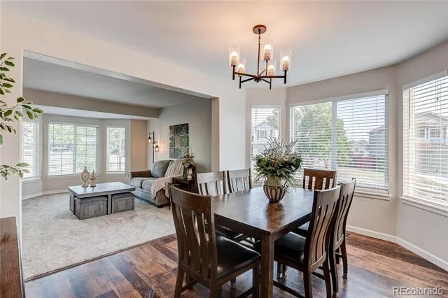 226 Chelsea Street Castle Rock, CO 80104