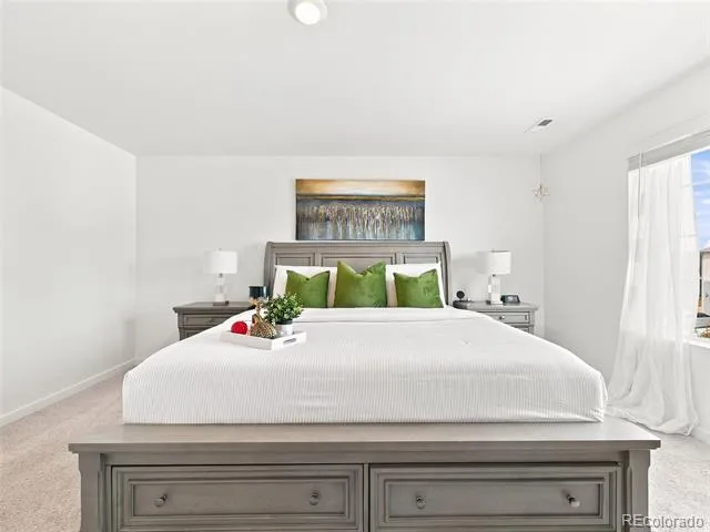 905 William Way Brighton, CO 80603