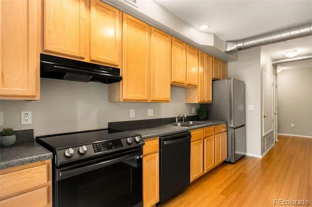 3149 Blake Street #202 Denver, CO 80205