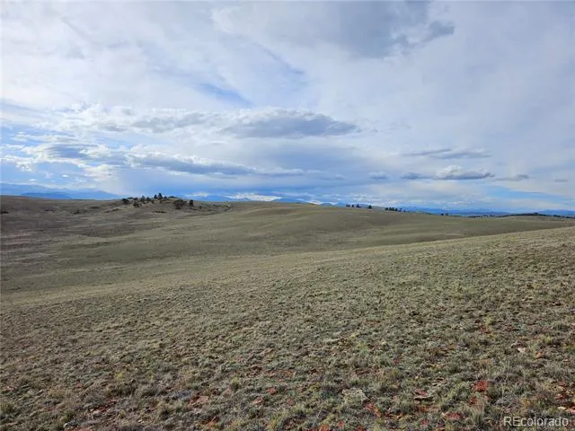 PCS#24139 Antero Road Hartsel, CO 80449