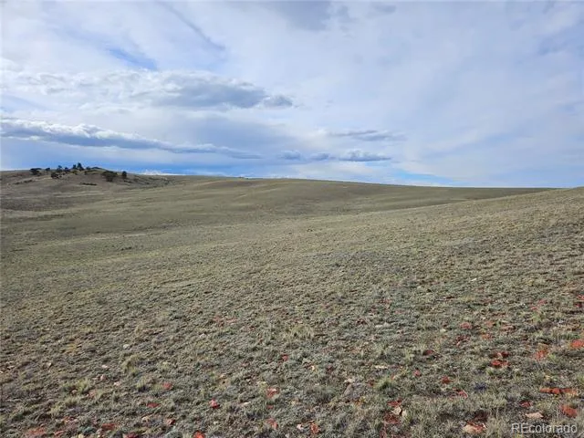 PCS#24139 Antero Road Hartsel, CO 80449