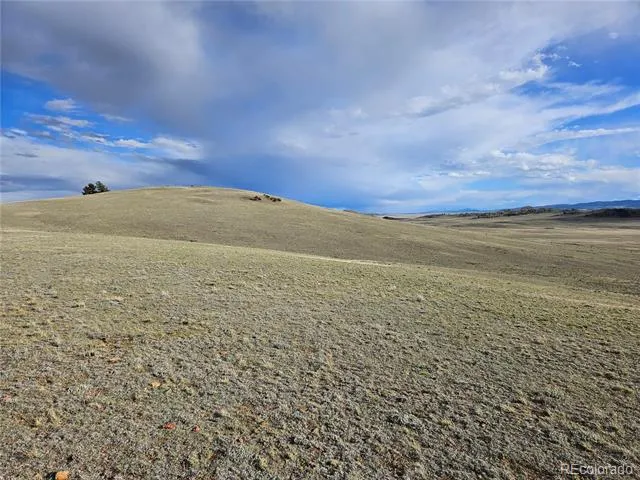 PCS#24139 Antero Road Hartsel, CO 80449