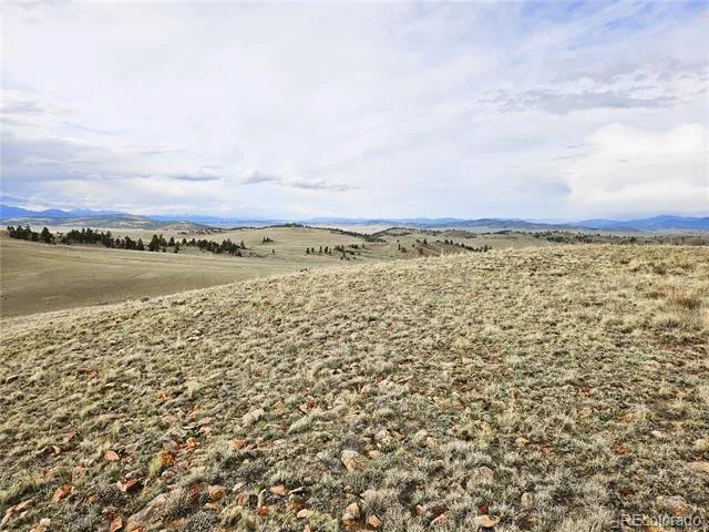 PCS#24139 Antero Road Hartsel, CO 80449