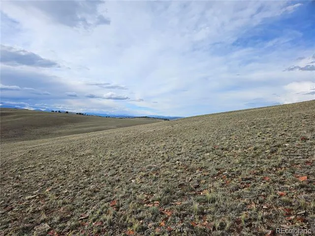 PCS#24139 Antero Road Hartsel, CO 80449