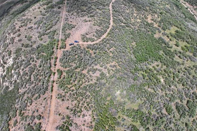 Address Not Shown Collbran, CO 81624