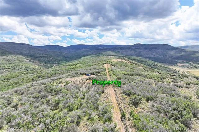 Address Not Shown Collbran, CO 81624