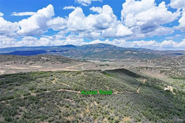 Address Not Shown Collbran, CO 81624