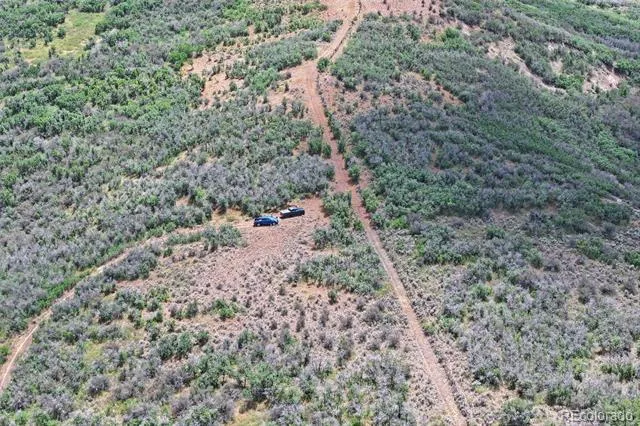 Address Not Shown Collbran, CO 81624